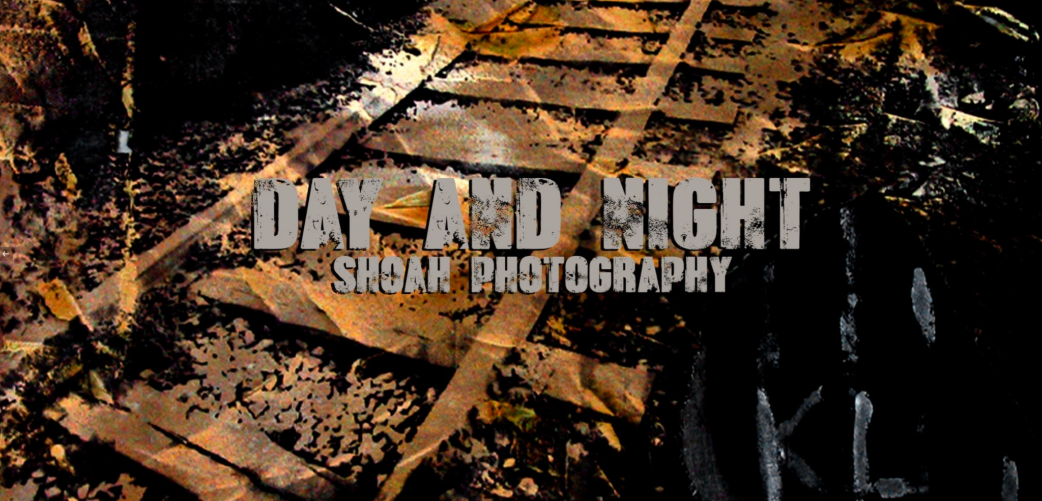 SHOAH HOLOCAUST RELATED ART 